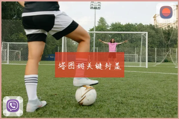 塔图姆关键封盖