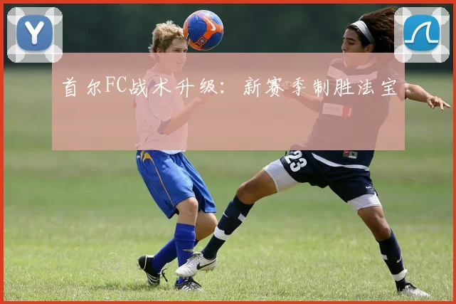首尔FC战术升级：新赛季制胜法宝
