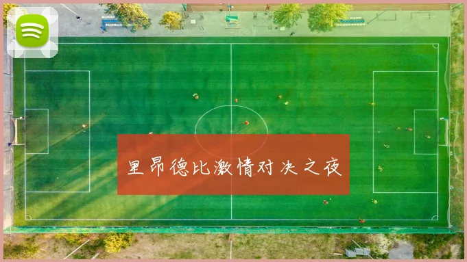 里昂德比激情对决之夜