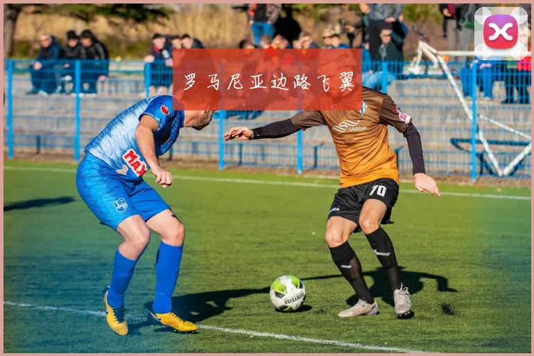 罗马尼亚边路飞翼