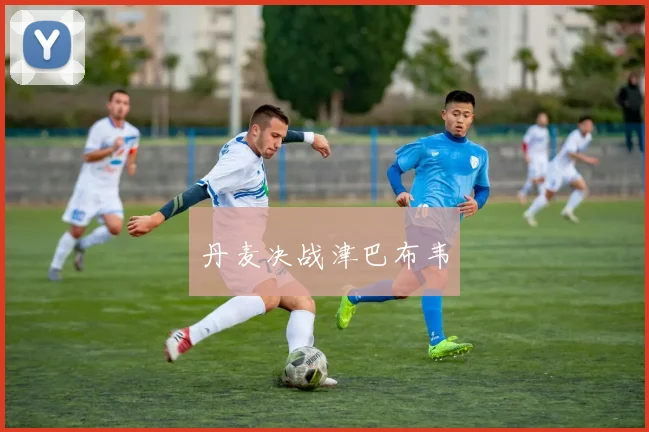 丹麦决战津巴布韦