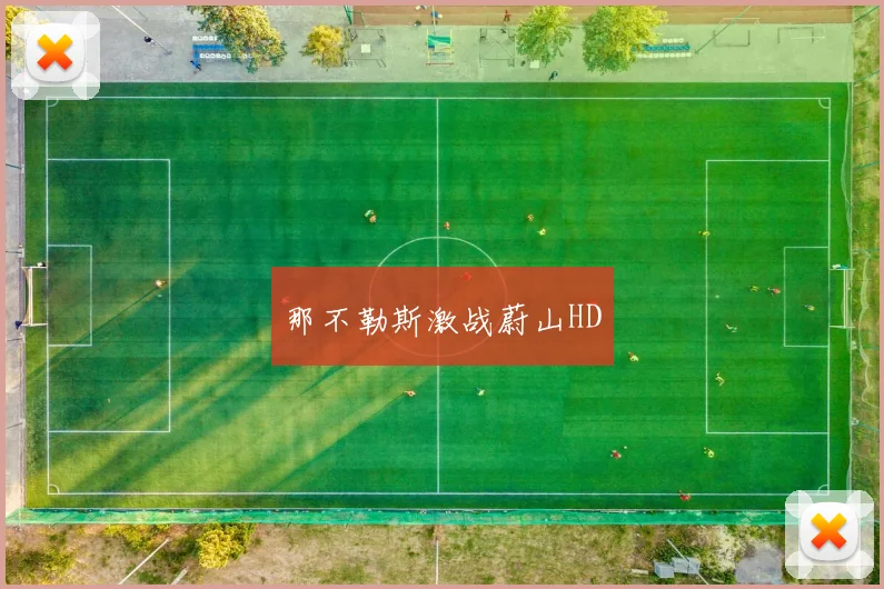 那不勒斯激战蔚山HD