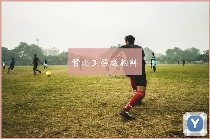 赞比亚强碰朝鲜