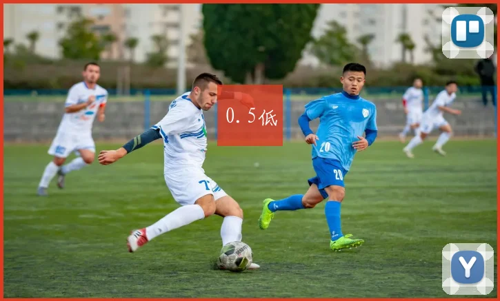 0.5低