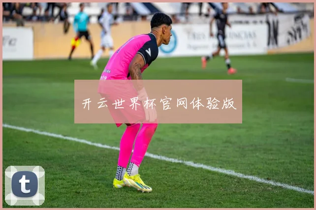 开云世界杯官网体验版