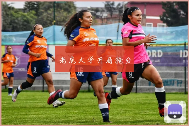 老虎大学开局抢分