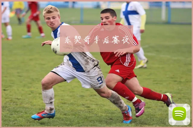 东契奇季后赛夜