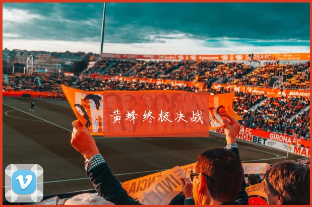黄蜂终极决战