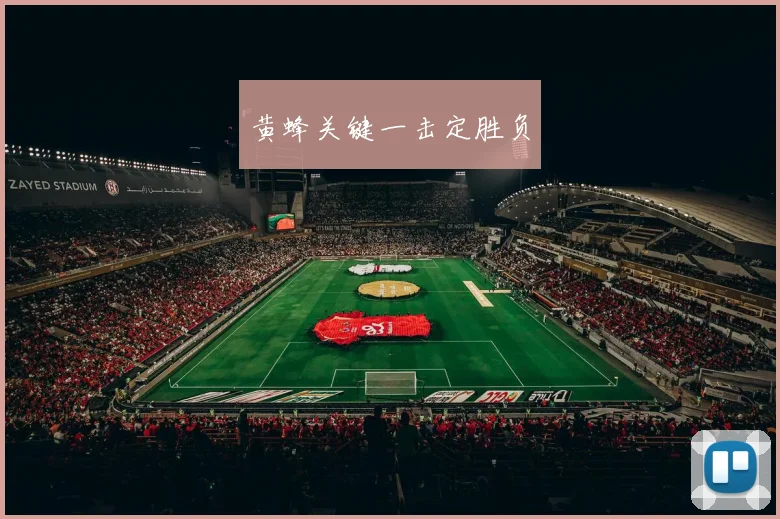黄蜂关键一击定胜负
