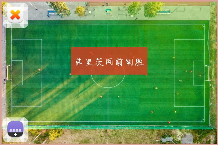 弗里茨网前制胜