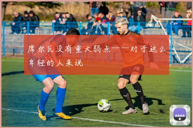 席尔瓦没有重大弱点——对于这么年轻的人来说