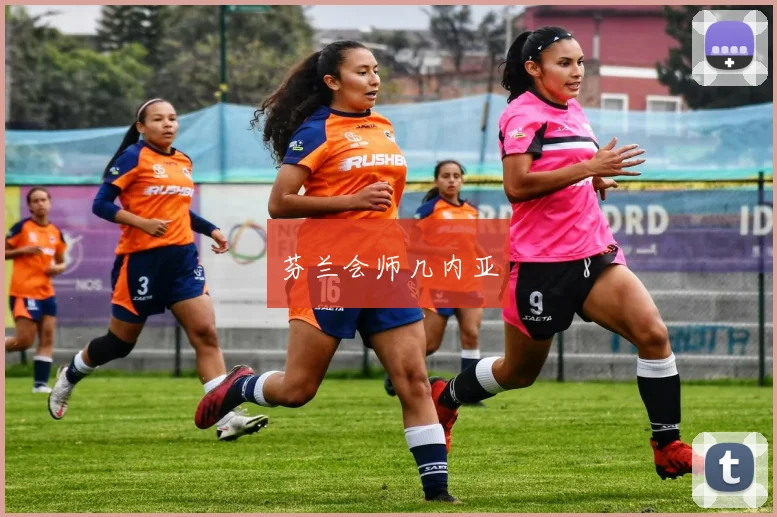 芬兰会师几内亚