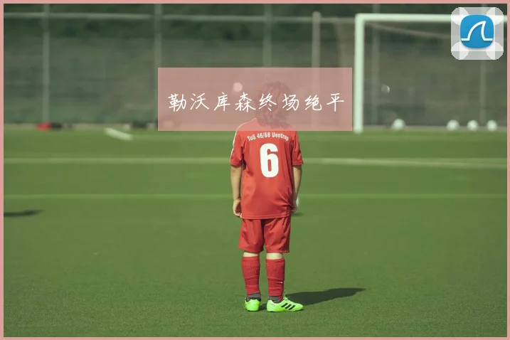 勒沃库森终场绝平