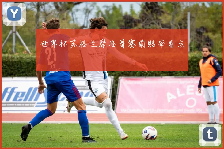 世界杯苏格兰摩洛哥赛前赔率看点