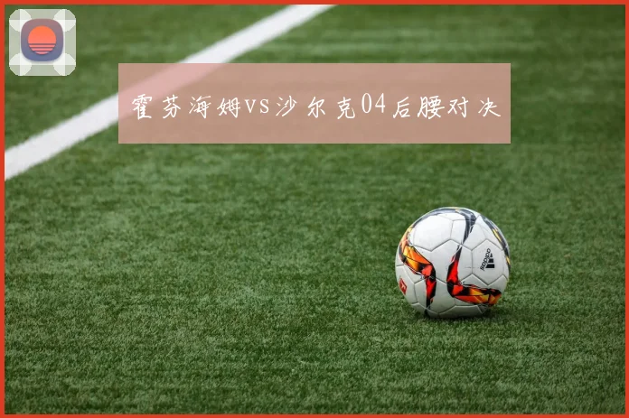 霍芬海姆vs沙尔克04后腰对决