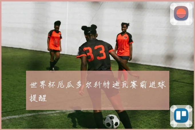 世界杯厄瓜多尔科特迪瓦赛前进球提醒