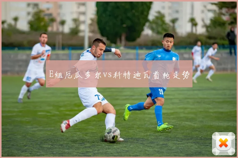 E组厄瓜多尔vs科特迪瓦首轮走势