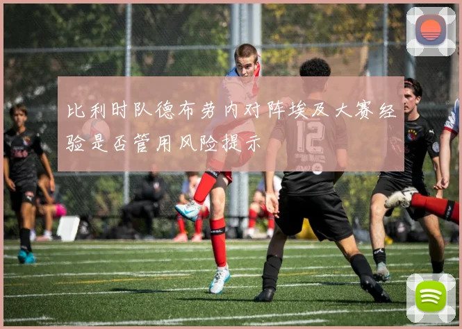 比利时队德布劳内对阵埃及大赛经验是否管用风险提示