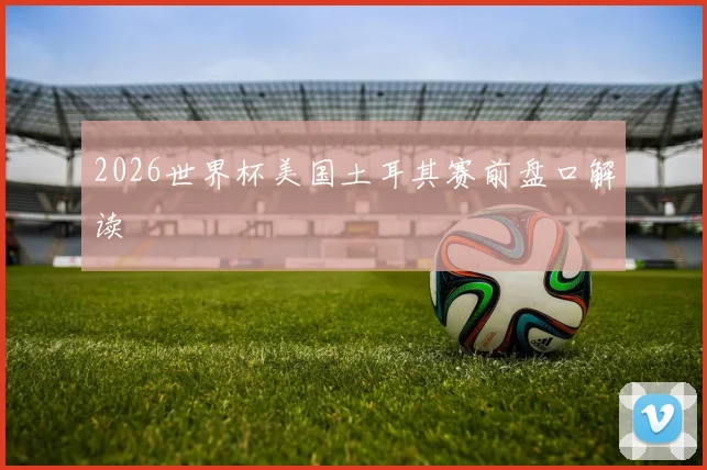 2026世界杯美国土耳其赛前盘口解读